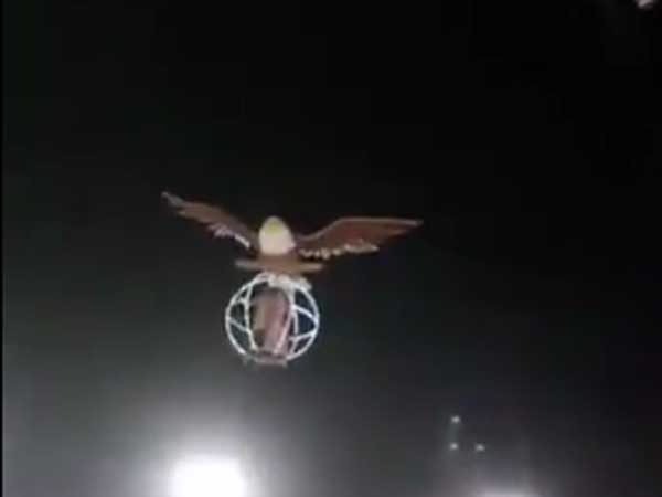 Indian Couple Makes Smashing Entrance In Giant Flying Bird Cage At Wedding & It Has To Be Seen Indian Couple Makes Smashing Entrance In Giant Flying Bird Cage At Wedding & It Has To Be Seen