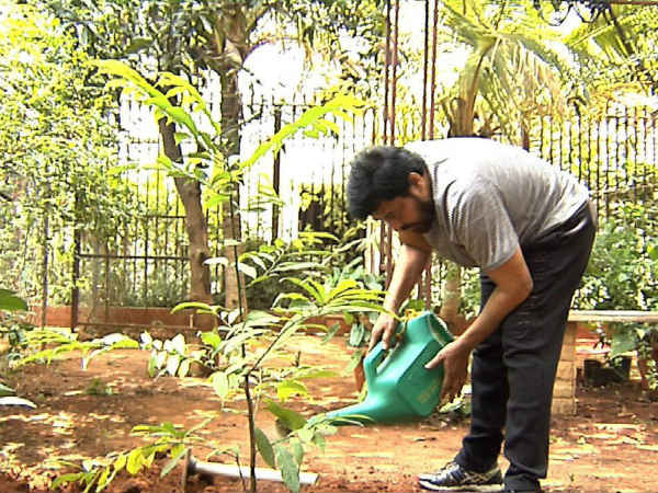 హరిత సవాలు...చిరంజీవి