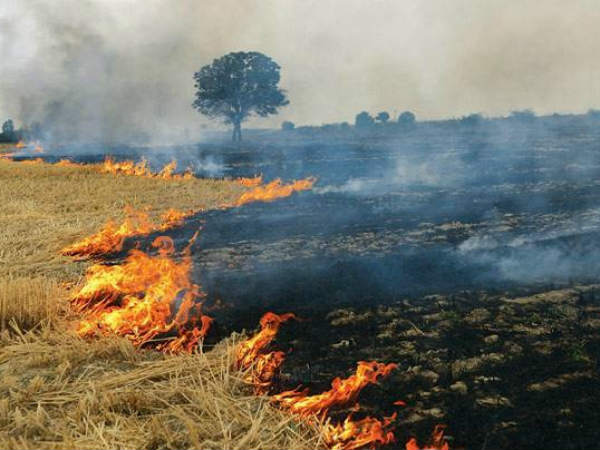 Crop burning in the North is spreading pollution not just to Delhi but even India’s South Crop burning in the North is spreading pollution not just to Delhi but even India’s South