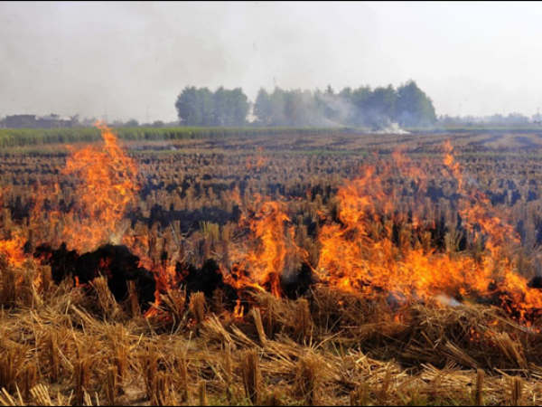 Crop burning in the North is spreading pollution not just to Delhi but even India’s South Crop burning in the North is spreading pollution not just to Delhi but even India’s South