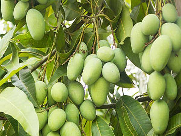 ప్రభుత్వ...సహకారం లేదు...