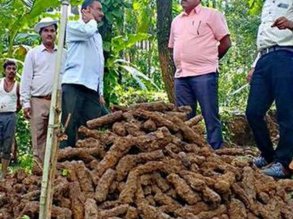 Over 1000 Rockets from Tipu Sultans period found Over 1000 Rockets from Tipu Sultans period found