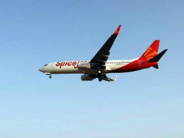 Biofuel driven flight successfully tested Biofuel driven flight successfully tested