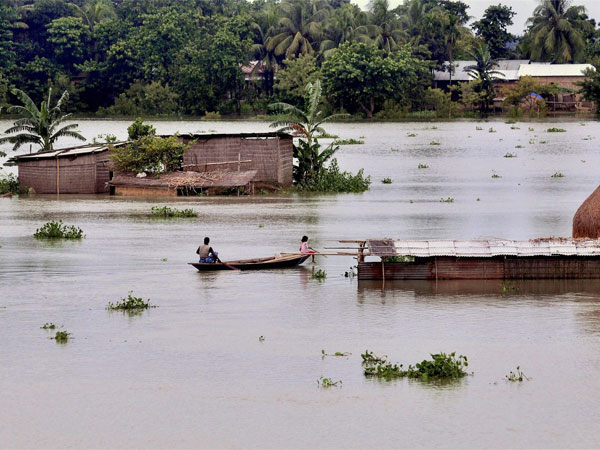 After the dangerous floods, snakes and crocodiles enter flodded homes in Kerala After the dangerous floods, snakes and crocodiles enter flodded homes in Kerala