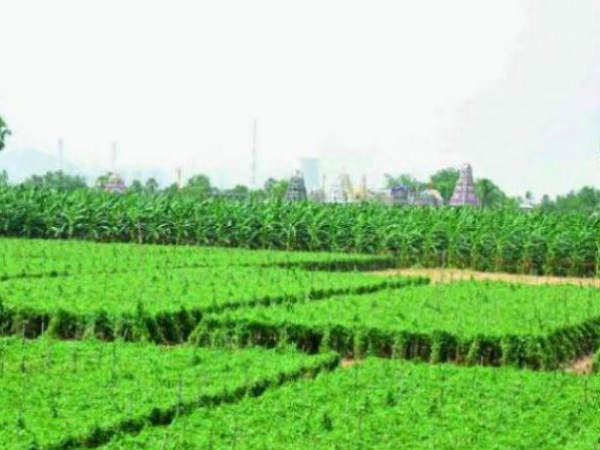 కేసు...వివరాలు ఇవి...