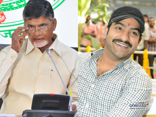 హరిక్రిష్ణ పదవి జూనియర్ కి..! జూనియర్ అంగీకరిస్తాడా అన్నదే సందేహం..!