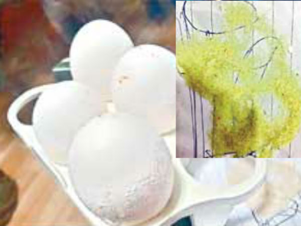 Strange:Is it Egg or Plastic Powder? ...test to prove Strange:Is it Egg or Plastic Powder? ...test to prove
