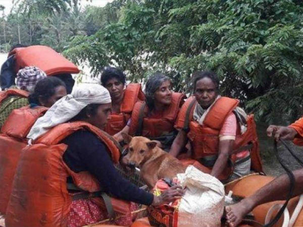 Kerala woman refuses to leave the flooded home without her dogs Kerala woman refuses to leave the flooded home without her dogs
