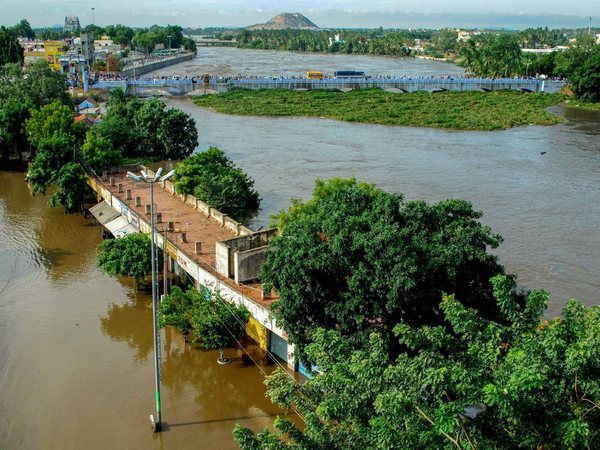 12 ఏళ్లకోసారి వచ్చే నీలకురింజి ఫ్లవర్ సీజన్