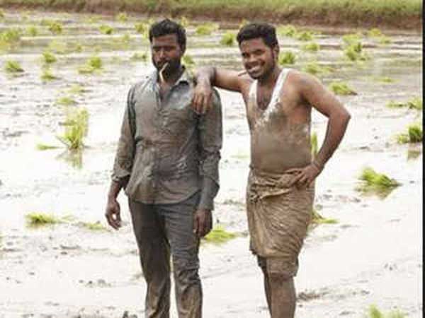 సెలబ్రిటీల అభినందనలు