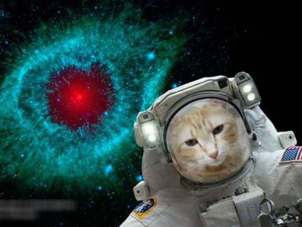 NASA Selfies app launched: Heres how to take an astronaut like selfie with the galaxy in the backdrop NASA Selfies app launched: Heres how to take an astronaut like selfie with the galaxy in the backdrop