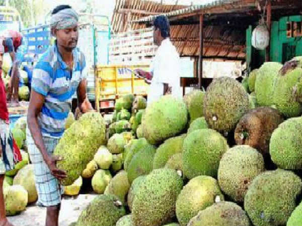 AP government will add another product to the forest products business for Tribal welfare AP government will add another product to the forest products business for Tribal welfare