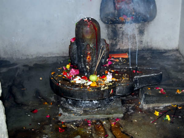 నాగుపాము కాపలా...విగ్రహాలు,నగలు భధ్రం