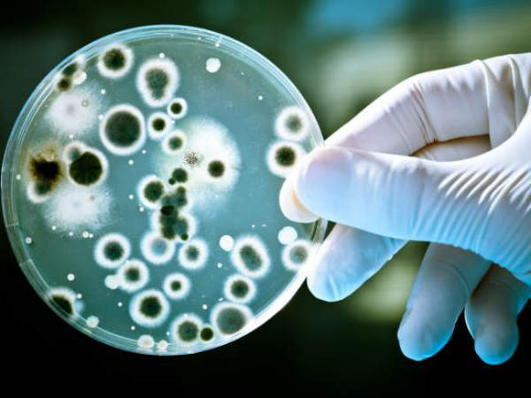 Bacteria due to antibiotis spreading in hospitals may turn out a killer:Study Bacteria due to antibiotis spreading in hospitals may turn out a killer:Study