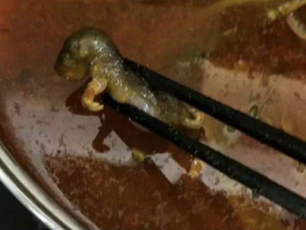 Shocking: China restaurant offers money for abortion after dead rat discovered in soup Shocking: China restaurant offers money for abortion after dead rat discovered in soup