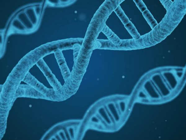 Genetic factors are key to academic success, reveals study Genetic factors are key to academic success, reveals study