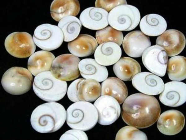 What is the Gomti Chakra, and how does it work? What is the Gomti Chakra, and how does it work?