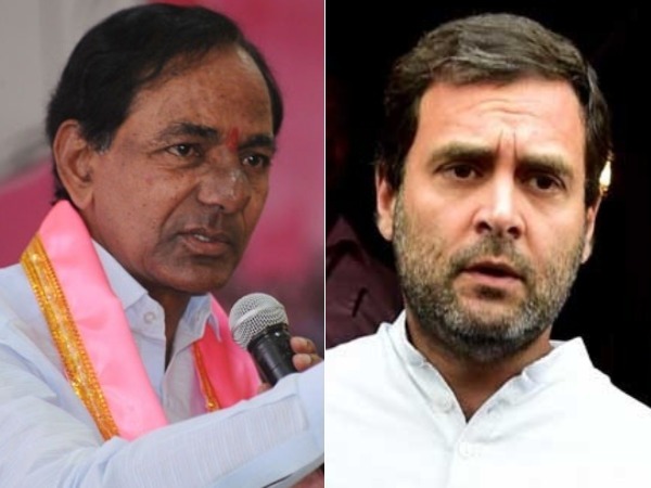 రాహుల్ గాంధీ పెద్ద బఫూన్