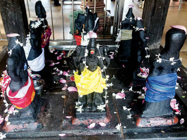 astrologer told the story about navagraha mudras astrologer told the story about navagraha mudras