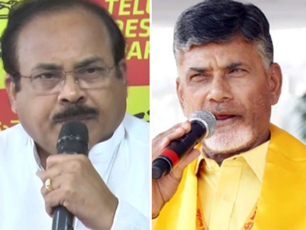 Congress wants to alliance with TDP Says Peddireddy Congress wants to alliance with TDP Says Peddireddy