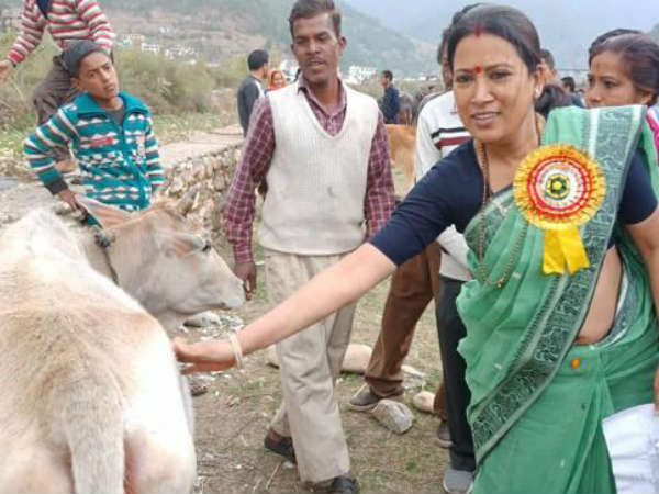 Uttarakhand minister says that cow inhales as well as exhales oxygen Uttarakhand minister says that cow inhales as well as exhales oxygen