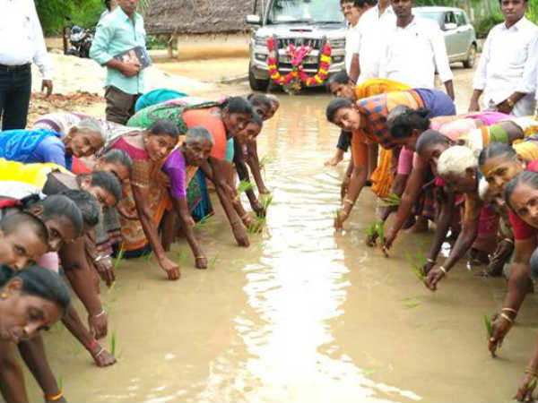 రోడ్లపై నాట్లేసిన రోజా