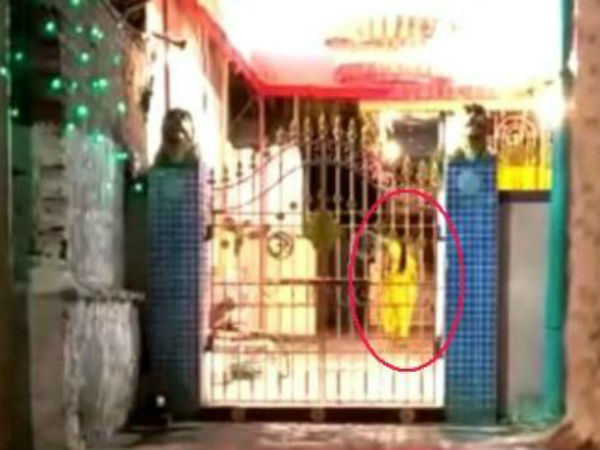 సెల్ఫోన్లలో వీడియో తీశారు..