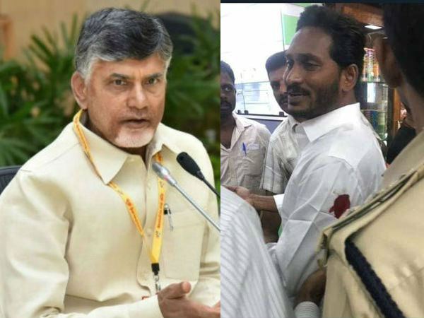 కోడి కత్తి ఘటనపై అంత తీవ్రంగా అవసరం లేదు