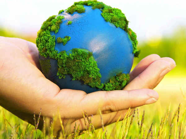 Govts assertive stance on environment matters draws global appreciation Govts assertive stance on environment matters draws global appreciation