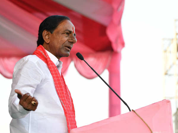 కాంగ్రెస్ గొర్రెలకు ఏం తెలుసు?