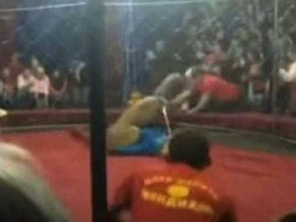 Lion slashes girls face in Russian circus Lion slashes girls face in Russian circus