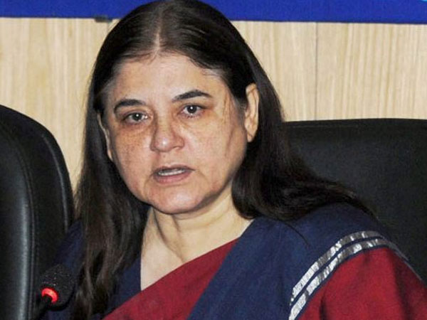 మేనకా గాంధీ స్పందన