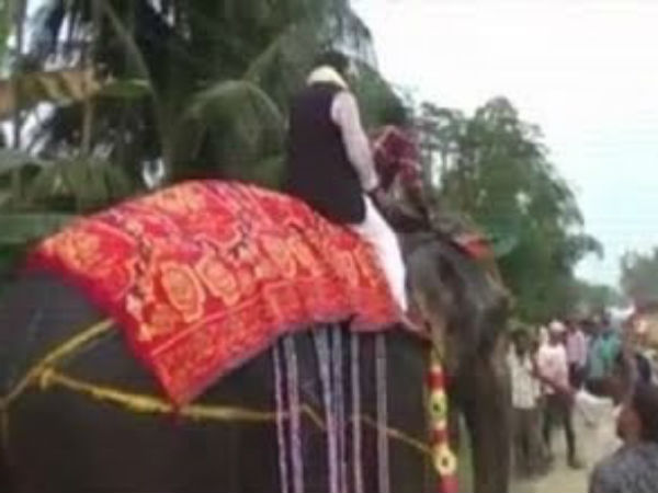 Assam Deputy Speaker Kripanath Mallah falls off an elephant Assam Deputy Speaker Kripanath Mallah falls off an elephant