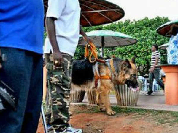 Bomb Squad Checks created Sensation in West Godavari district Bomb Squad Checks created Sensation in West Godavari district
