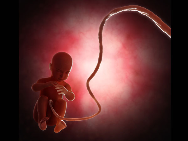 Astrologer told about value of human birth Astrologer told about value of human birth