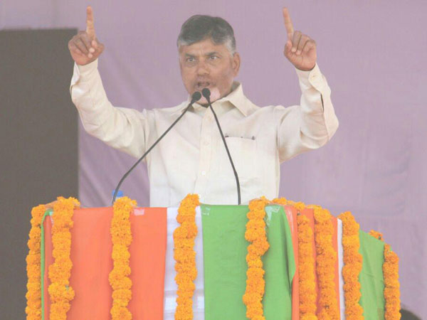తెలంగాణ యువతపై ప్రశంసలు