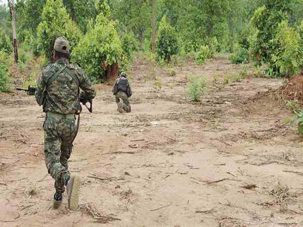 Odisha: Five Naxals Killed in Encounter Between Security Forces And Militants in Kalimeda Odisha: Five Naxals Killed in Encounter Between Security Forces And Militants in Kalimeda