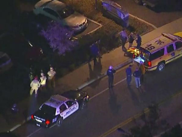 Shooting in Southern California bar: Attacker among 12 dead in the incident Shooting in Southern California bar: Attacker among 12 dead in the incident