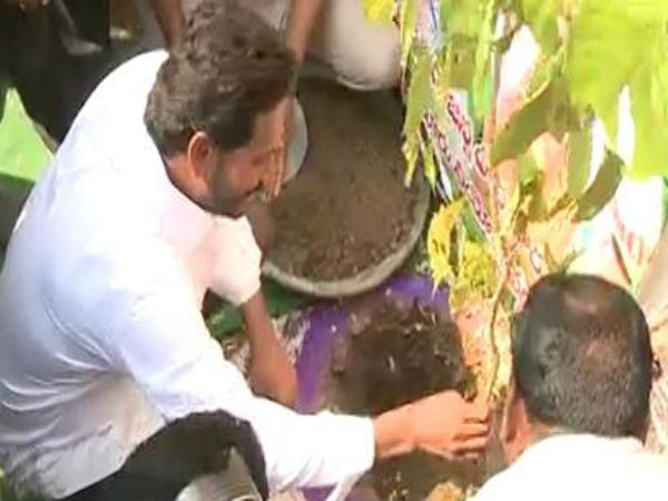 పాదయాత్ర క్రమంలో...ఎన్నో మైలురాళ్లు