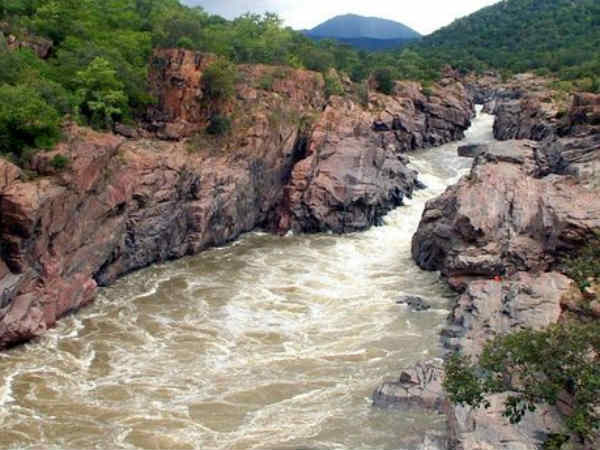 జయలలిత వ్యతిరేకం