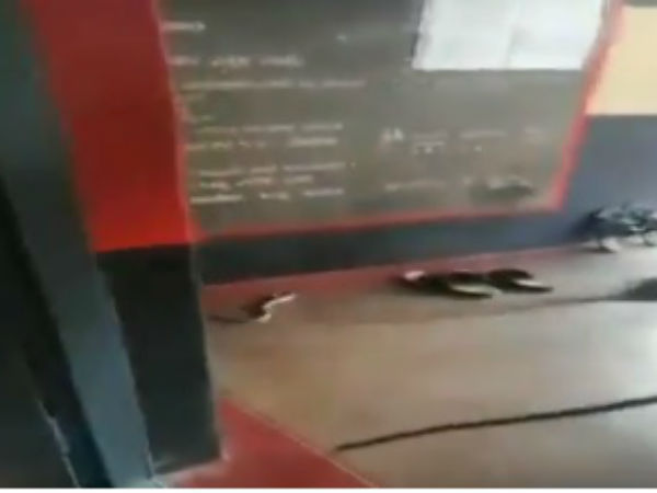By elections 2018: Snake comes to polling boot near Ramanagar in Karnataka By elections 2018: Snake comes to polling boot near Ramanagar in Karnataka