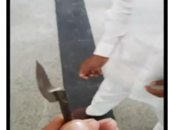 జగన్ మీద దాడిపై ఆళ్ల పిల్