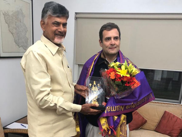 AP CM Chandrababu Naidu meets Congress president Rahul Gandhi AP CM Chandrababu Naidu meets Congress president Rahul Gandhi