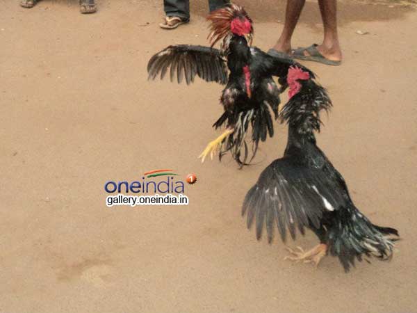 రంజు మీద ఉన్నాయి..ఖర్చు నో ప్రాబ్లం..