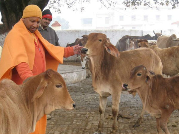 ఇతర వస్తువులపై అదనంగా పన్నేతర రుసుం