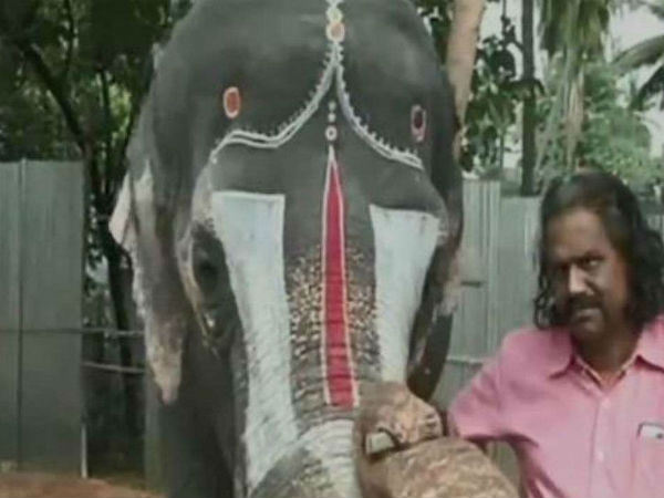 సందర్శకులను ఆకట్టుకుంటున్న లక్ష్మీ