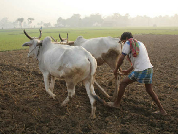 MP farmer shocked to get Rs 13 instead of Rs 24,000 loan waiver MP farmer shocked to get Rs 13 instead of Rs 24,000 loan waiver