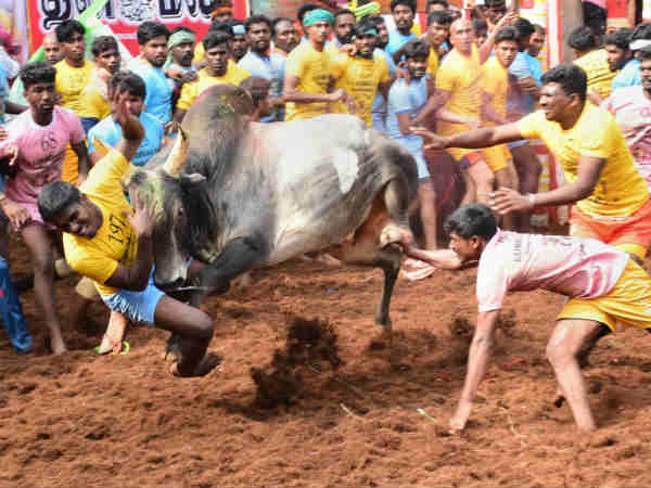 ఇద్దరు మృతి.. విషాదం