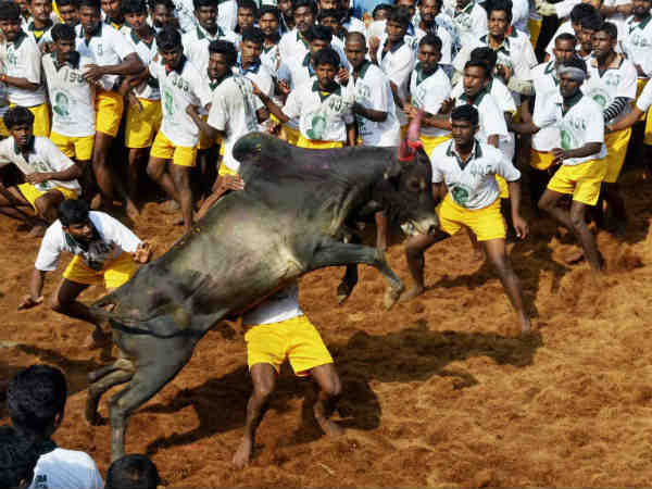 ఇన్సూరెన్స్ సదుపాయం