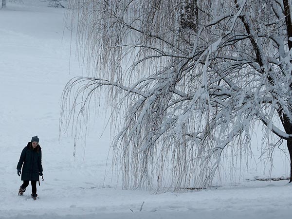 Groom Treks for 6km in Heavy Snow in Uttarakhand to Reach His Wedding Ceremony Groom Treks for 6km in Heavy Snow in Uttarakhand to Reach His Wedding Ceremony